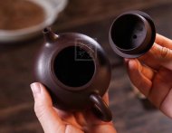 《容天》宜兴紫砂壶茶具泡茶壶实力派名家手工紫泥容天