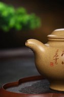 《掇只》宜兴紫砂壶助理工艺美术师手工本山段泡茶壶掇只茶具