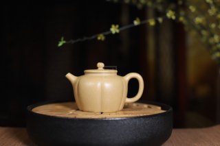 《菊蕾》宜兴紫砂壶助理工艺美术师手工标本级本山段泥泡茶壶菊蕾茶具